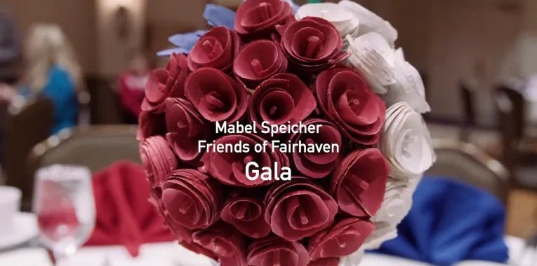 The Mabel Speicher Friends of Fairhaven Gala Benefit Dinner & Auction